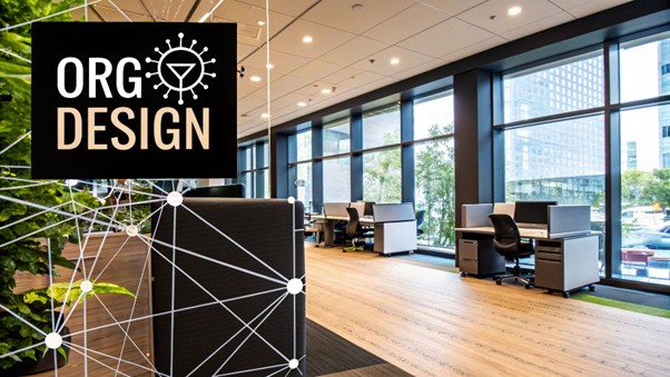 organisational design