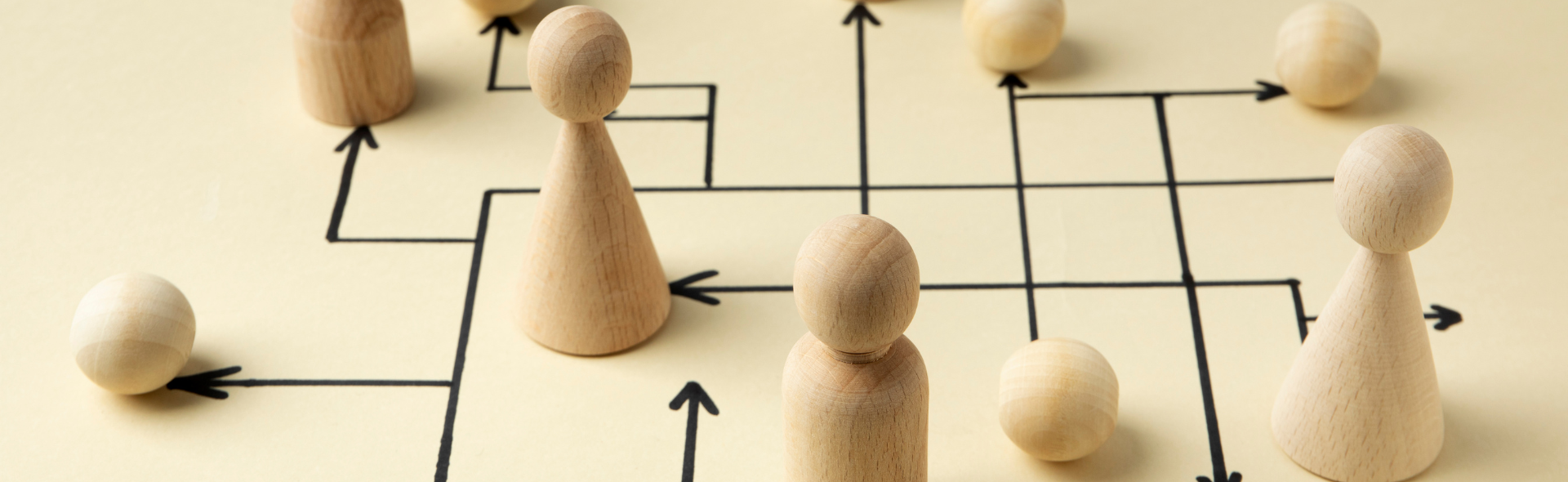 organizational design principles
