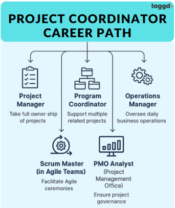 project coordinator career path