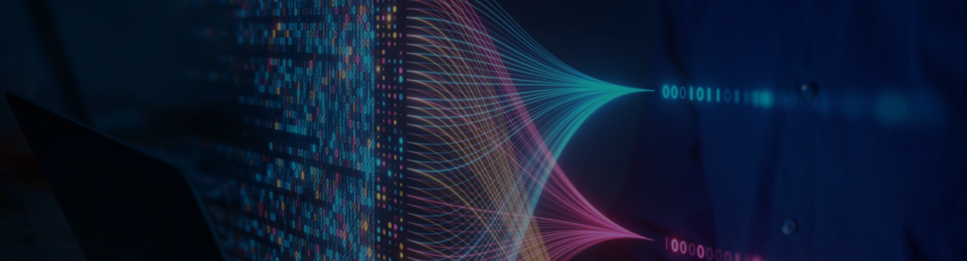 Data Scientist Roles and Responsibilities