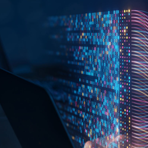 Data Scientist Roles and Responsibilities