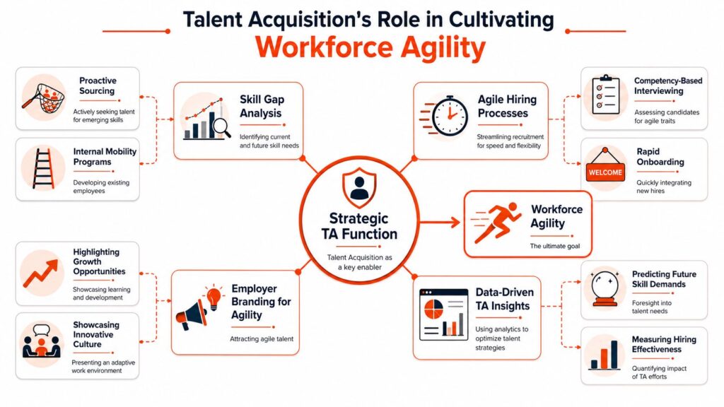 Infographic showing talent acquisition’s role in workforce agility through proactive sourcing, skill gap analysis, agile hiring, employer branding, data-driven insights, onboarding, internal mobility, competency-based interviews, and future workforce planning.